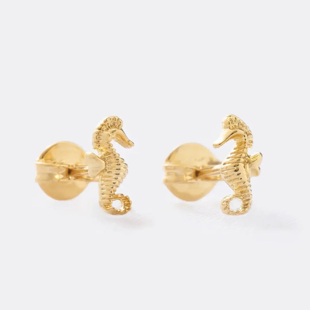 Caballito de Mar 34209